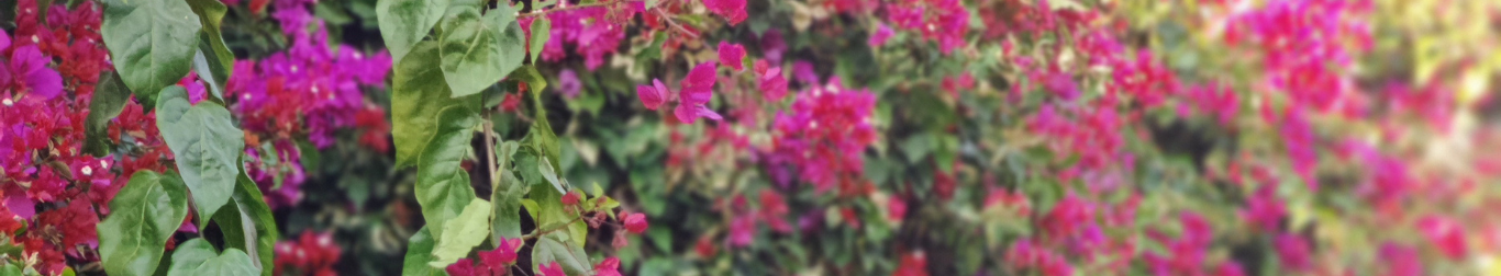 BABY-PINK KIRAN CO-ORD SET